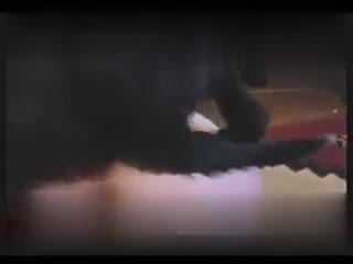 Watch: Massive Dark Doggo Unleashes Unbridled ion on an Unsuspecting Floozy!