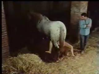Wildest Zoo Fetish Sex Captured On Camera: Watch the Unbelievable Zoo Porn Horse Sex Video Now!