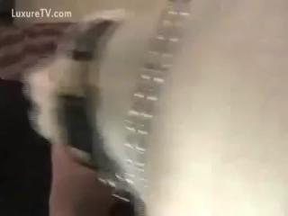 Dog Fuck Purchased by Chubby Girl - Zoo Porn Dog Sex, Zoophilia